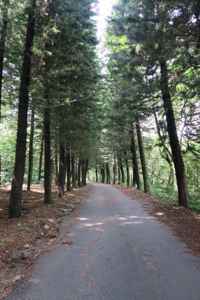 2016-7-11石門山封面