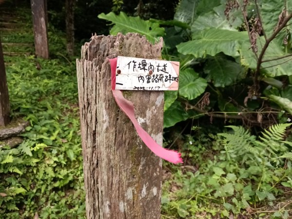 汐止區磐石嶺福興宮+581峰+雙十塔+耳空龜山+四分尾山+大尖山2805706