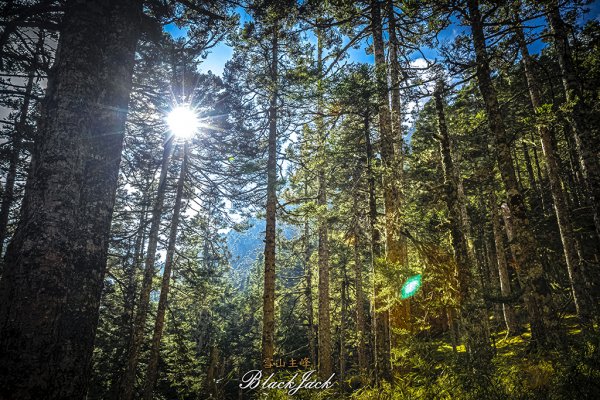 雪山主峰一日單攻963341