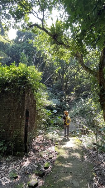 孫龍步道>光明山稜線>牛灶坑山>鶯歌石步道Ｏ型健走1863990