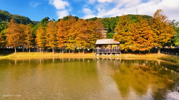 #花卉試驗中心 #永公路500巷 #平菁街42巷 #原住民公園 #士林官邸 1/42980355