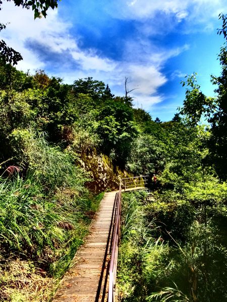 走塔山步道 攀上阿里山之巔406439