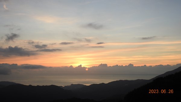 雲山水花鳥蝶 - 天龍國阿伯的日常 6/262195474