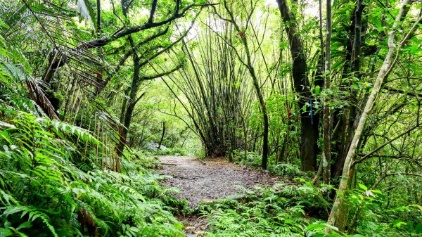 石笋古道,焿子寮古道,松子嶺古道2798328