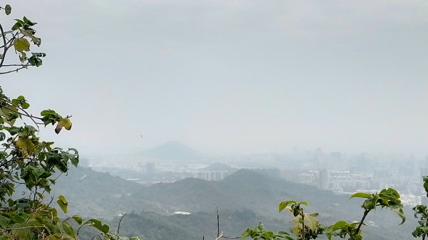 北柴山秘境之旅2754398