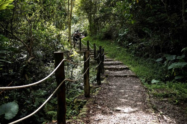 大坑1號步道2865250