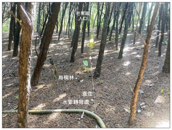 乞食崙 ( 台中/大肚山 )2937417