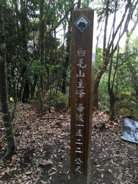 20200321-白毛山886579