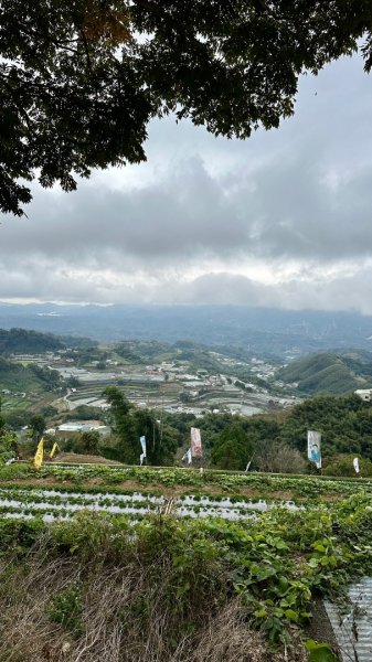 馬那邦山O走2370106