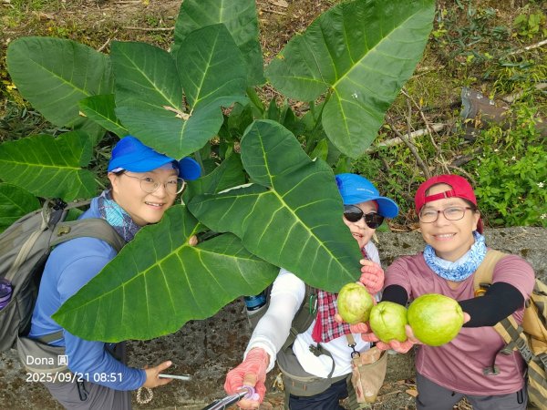 20250921平溪石筍尖連走赫山(三坑山)O型走2894473