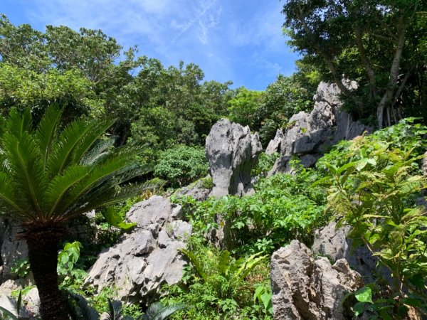 大石林山672538