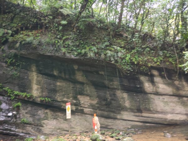 微笑山線：【五分山系】望古瀑布段2959895