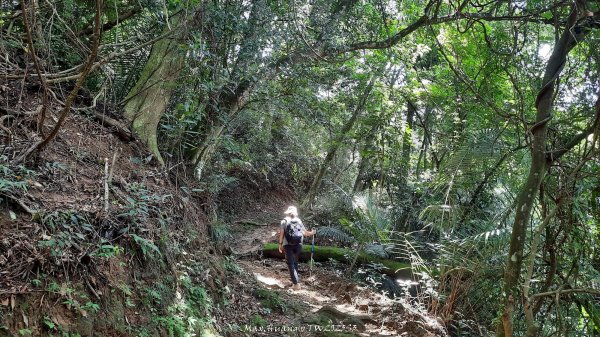 《新竹》青青石階｜娥眉藤坪步道及萬佛庵步道202509132883899