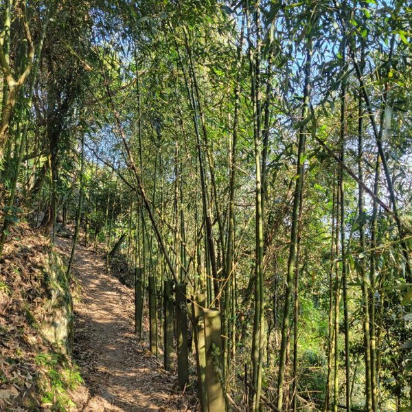 馬那邦山、細道邦山（小百岳）2435546