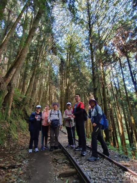 【阿里山】特富野古道1093707