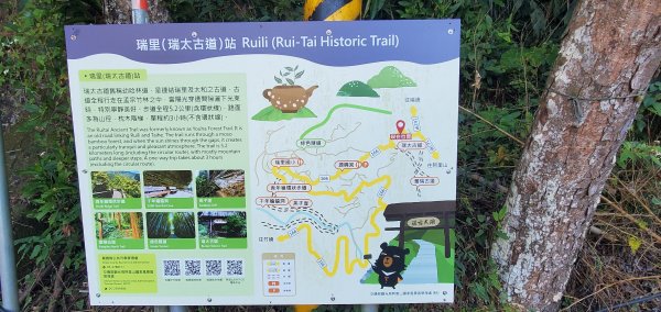 2025-01-30瑞太古道2704361