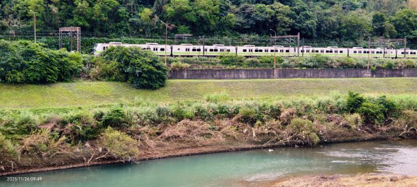 #半屏山 #芒花 11/262946020