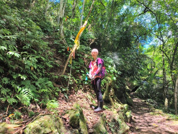 小東河上大龍山2247140