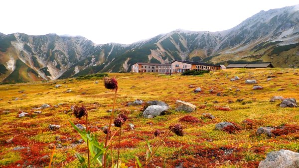 走在上帝翻落的調色盤上日本劍岳與立山連峰的山遊記2954046