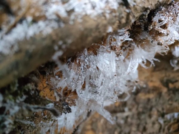 雪季北得拉曼2956417