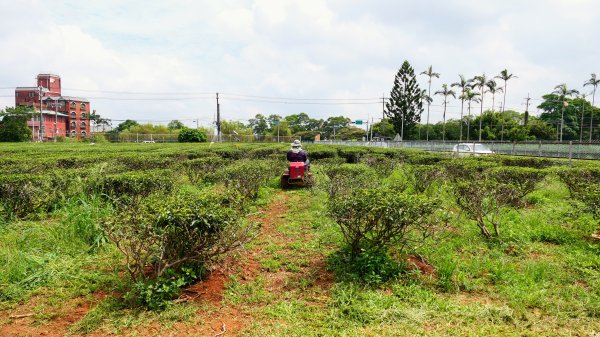 茶山步道,鎮南橋,鴉片菸潭,通學古道2602602