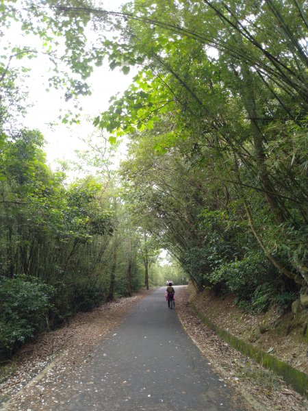 三義 挑炭古道(三通嶺古道)936058