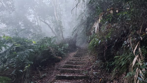 水社大山水社主峰新年二部曲1598803