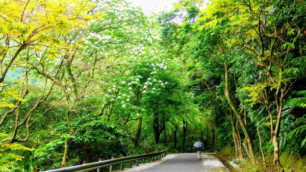 東勢街,汐碇路3041466