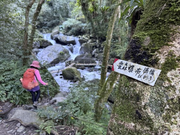 山毛櫸掉光光的 卡保逐鹿O繞 202511152937446