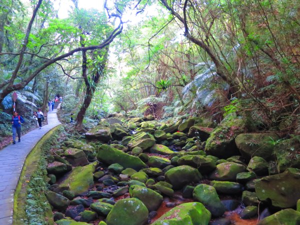 龍年首登的好選擇，鯉躍龍門，搭捷運來內湖爬三尖，鯉魚山、忠勇山、圓覺尖2426559