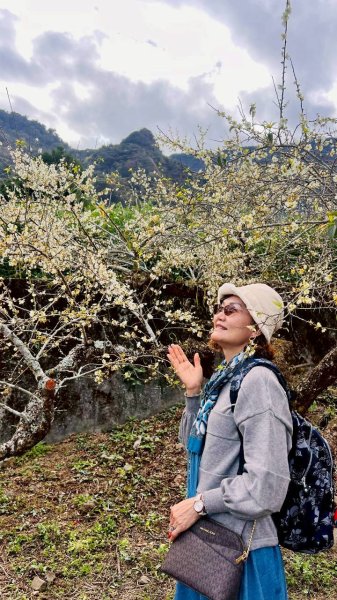 🌈1/17（六）蔡家古厝賞梅×梅子夢工廠×車埕老街✨FB：熊熊趴爬走🌈2983928