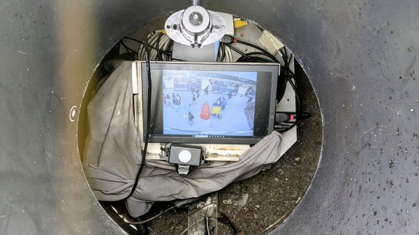 《西江月。魯冰花艷台大》2725783