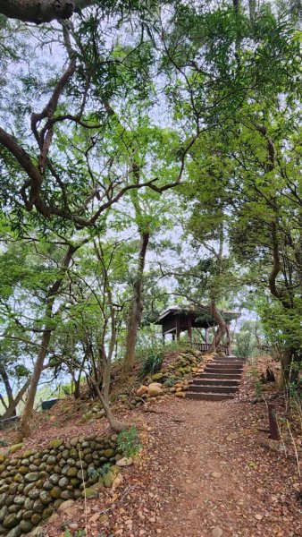 田中麒麟山連走田中森林公園北天宮O繞+ 田中大小劍逆走2756719