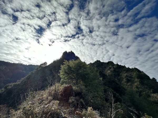 新高口走石山引水道 石水山 真鹿林山 鹿林前山 石山O型路線2020946