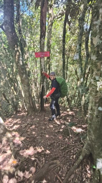 外鳥嘴蓮包山O縱2893182