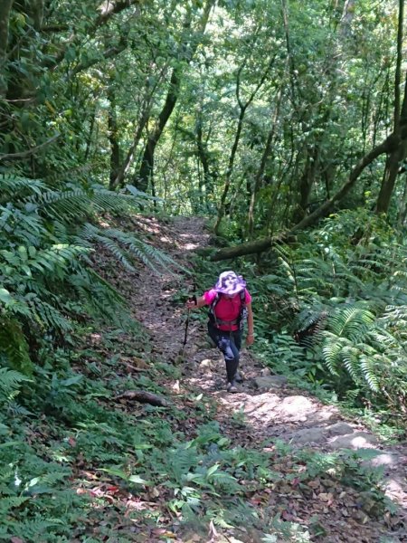 淡蘭烏山古道西段、網形山O走1434238