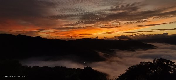 獵狸尖星空雲海&慈瑤宮火燒雲朝霞日出雲海2259545