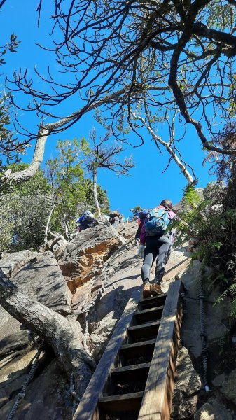 《台中》鳶嘴雲瀑｜鳶嘴山登山步道O繞202212041938448