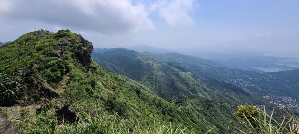 2020-0514半屏山茶壺山金瓜石環形1066850