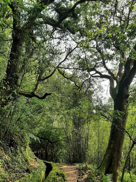 走遍陽明山：擎天崗系｜景遠心自闊，潺潺溪水聲洗去一身憂2113813