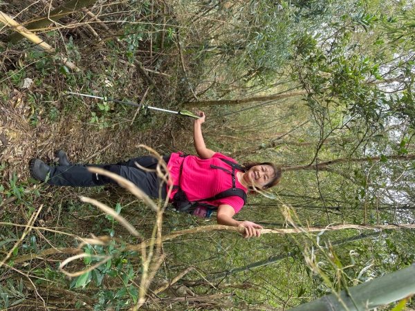 阿拔泉山、觀音石山、紅南坑山、獨立山2650793