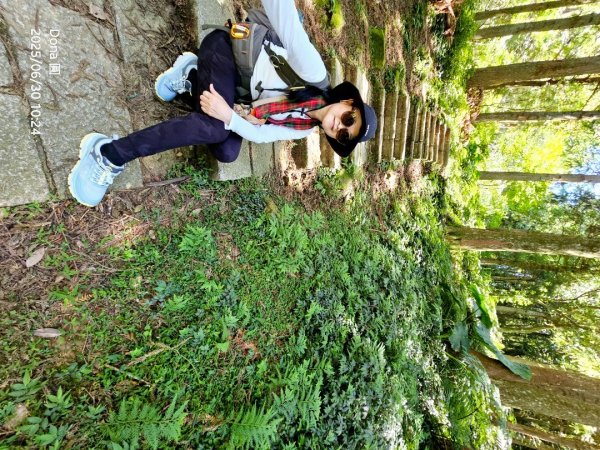 桃園小百岳東眼山(H1212m)2844621