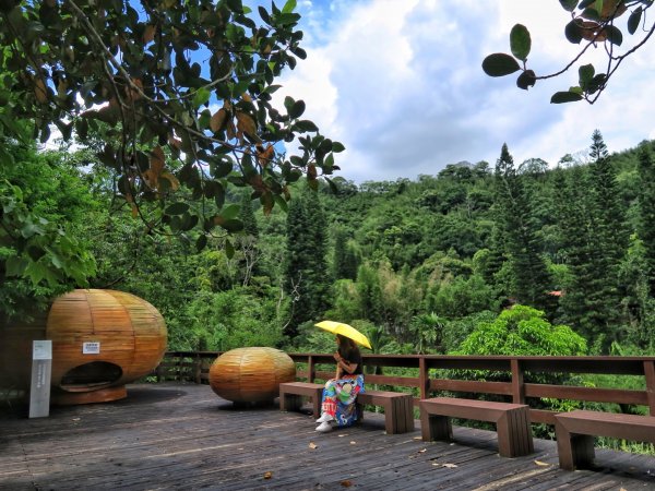 苗栗大湖 伯公潭古圳道1754313