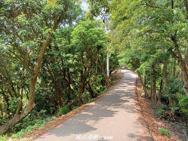 【彰化員林】員林百果山上最具人氣的休閒步道。 台灣百大必訪步道。 藤山步道1689475