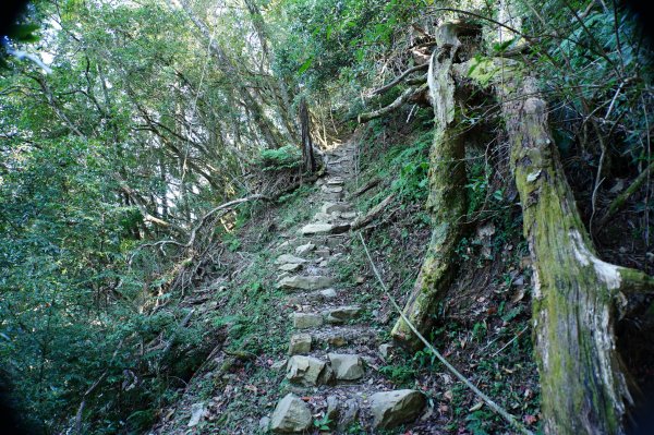 新竹 五峰 西高橋山、霞喀羅大山2959327