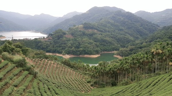 石碇鱷魚島-千島湖之旅715886