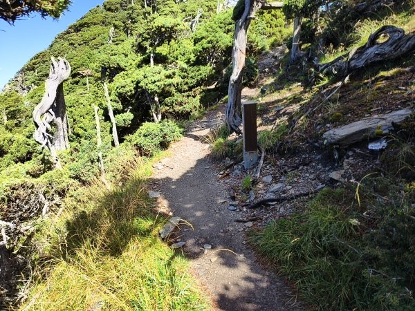 北一段(11/14)南湖北峰 2025_0906~132887333