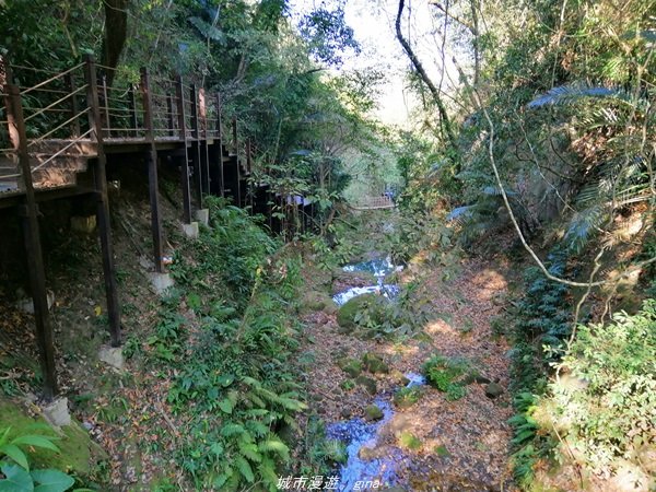 台中~仙氣繩橋山林環繞。 蝙蝠洞登山步道1295491