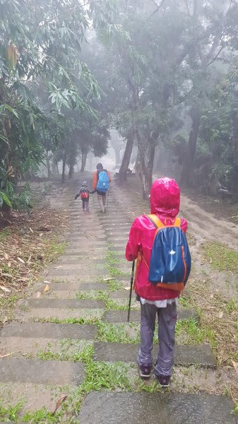 難得的登山體驗宛如明天過後441178