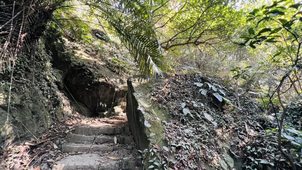 [台南東山]崁頭山步道|林蔭巨石木棧道視野遼闊的親子簡單輕鬆步道|優雅竹林圍繞三角點清幽野餐1603464